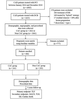 Long-term outcomes of drug-coated balloon treatment of calcified coronary artery lesions: a multicenter, retrospective, propensity matching study